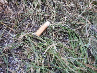 bir sokak unhealty insanlar tarafından terk sigara izmariti