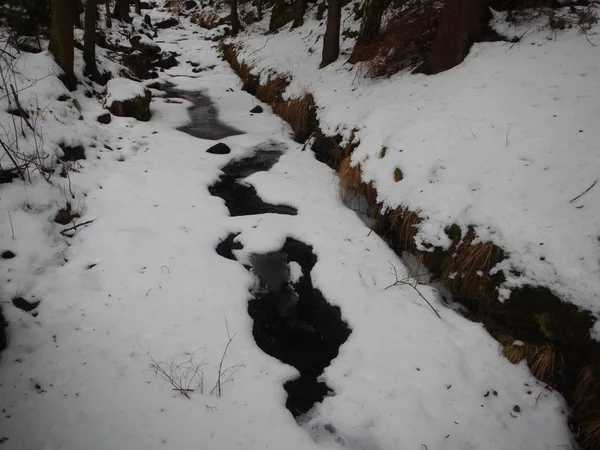 Mrożone creek pokryte lodem w zimie — Zdjęcie stockowe