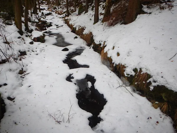 Mrożone creek pokryte lodem w zimie — Zdjęcie stockowe