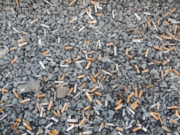 Bir sokak unhealty insanlar tarafından terk sigara izmariti — Stok fotoğraf