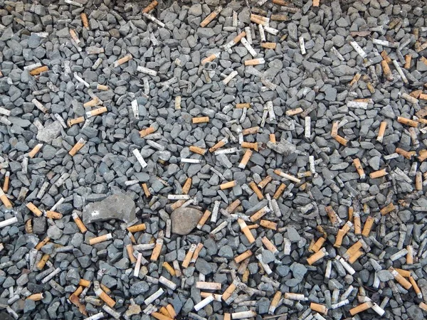 Bir sokak unhealty insanlar tarafından terk sigara izmariti — Stok fotoğraf
