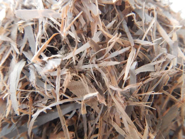Detail of heap of dried lapacho tea — Stock Photo, Image