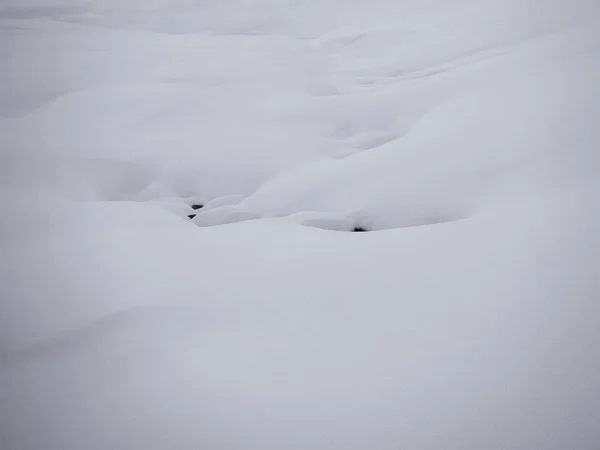 Деталь зимового снігового пейзажу — стокове фото