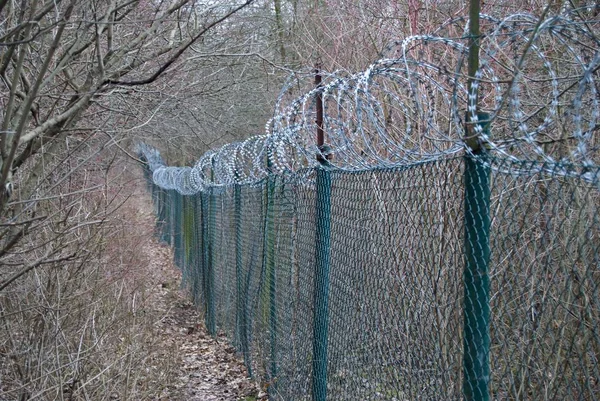 Prikkeldraad hek verborgen in een bos — Stockfoto