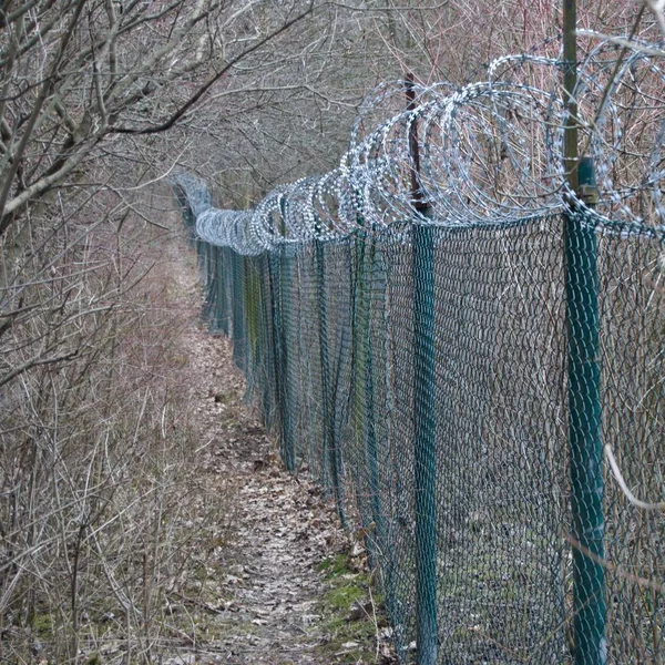 森に隠されている有刺鉄線のフェンス — ストック写真
