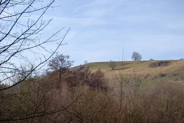 Frühling kommt in eine Natur mit Wald — Stockfoto