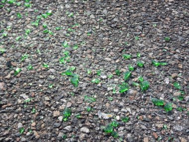 bir asfalt üzerinde kırık yeşil cam parçaları