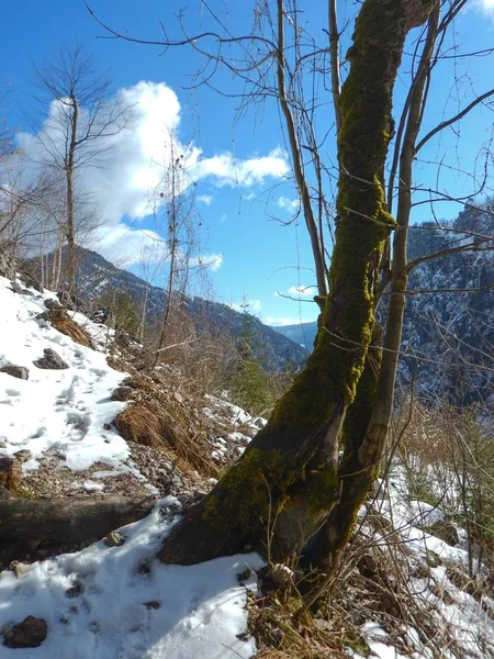 아름 다운 겨울 풍경 totes gebirge 산 — 스톡 사진
