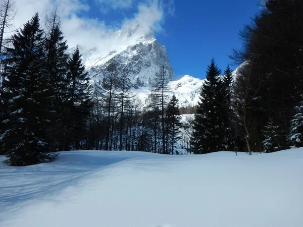 美丽的冬天景观的大手提包独特山 — 图库照片