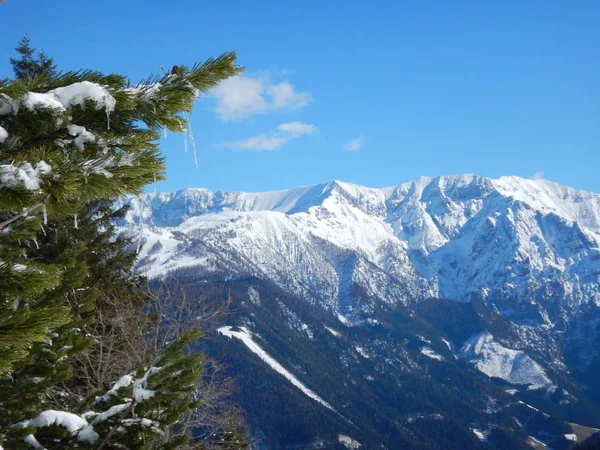 아름 다운 겨울 풍경 totes gebirge 산 — 스톡 사진
