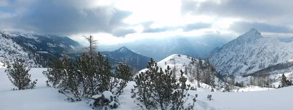 美丽的冬天景观的大手提包独特山 — 图库照片