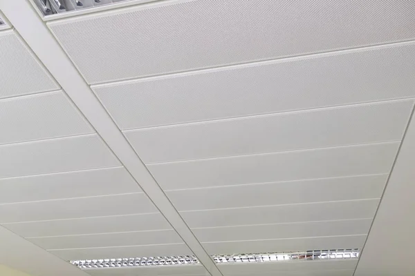 ceiling ventilation ang light grid