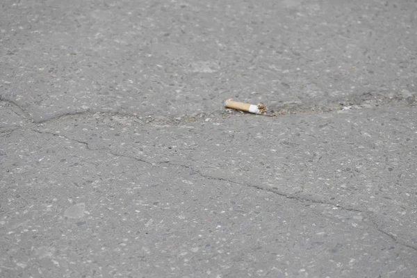 Único bug de cigarro em um asfalto — Fotografia de Stock