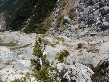 avusturya'da salzkammergut bahar manzara