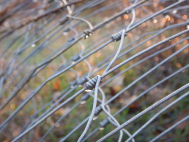 wire or fence wet with a morning dew