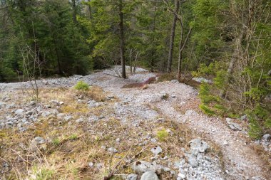 dolomiti mountails güzel bahar zaman