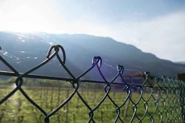 Detai lof uma cerca com uma teia de poder — Fotografia de Stock
