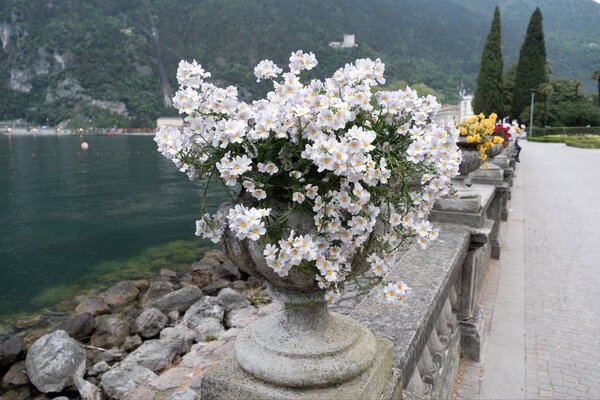 A decorative flower pot on a lake side promenade