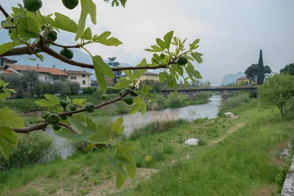 Puente sobre el río Sarca en arco — Foto de Stock