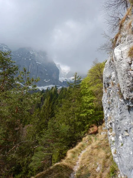 Hermosa primavera en dolomiti mountails — Foto de Stock