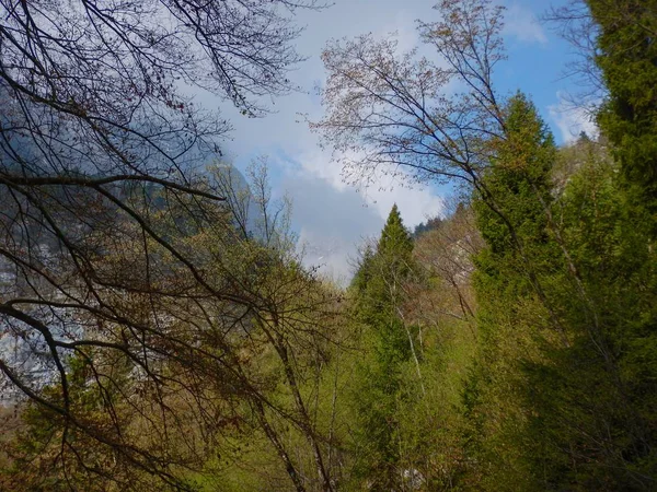 Красивий весняний час в горах Доломіті — стокове фото