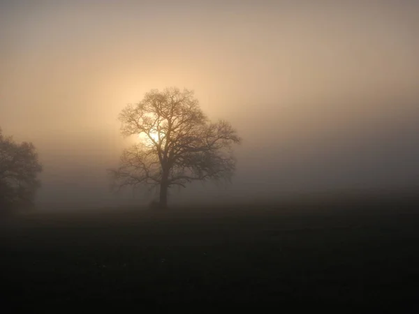 Nebliger Morgen mit strahlender Sonne — Stockfoto