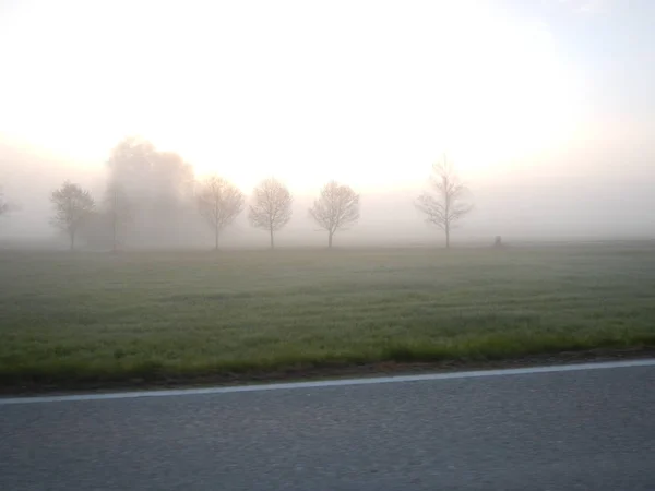Ομίχλη το πρωί με λαμπρό ήλιο — Φωτογραφία Αρχείου