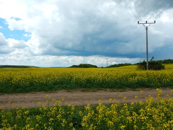 Krajobraz wiejski z olejem rzepakowym — Zdjęcie stockowe