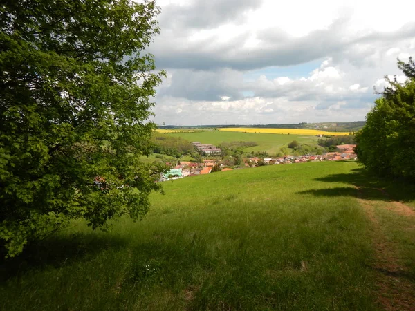 Landschaft mit Rapsölfeld — Stockfoto