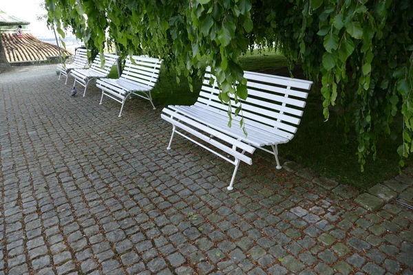 Line of empty white benches in the park — Stock Photo, Image