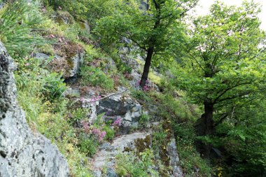 kayanın üzerinde sabit koruma Zinciri