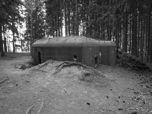 Historical bunkers in a border line around slavonice — Stock Photo, Image
