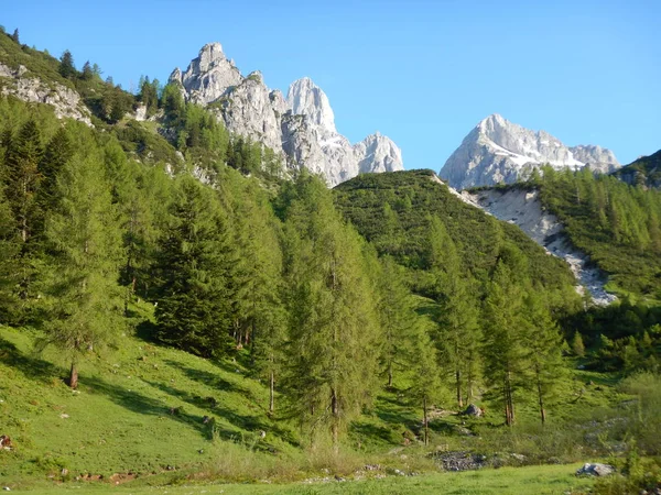 Alpesi lansdcape, ezen a környéken: Grosse Bischofsmutze a dachsteingebirge, Ausztria — Stock Fotó