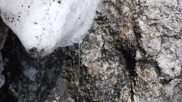 Detail od tajícího sněhu z ledovce — Stock video