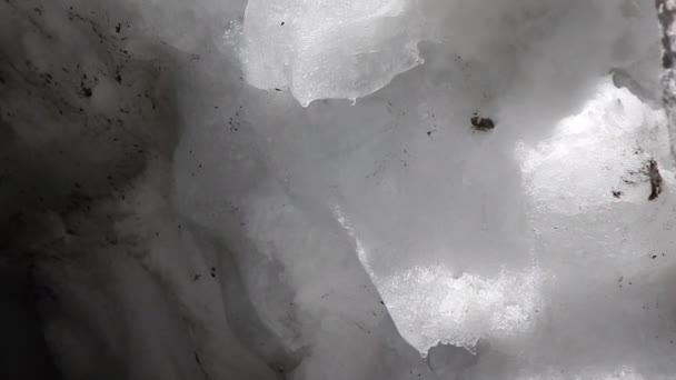 Detail od melting snow from glacier — Stock Video