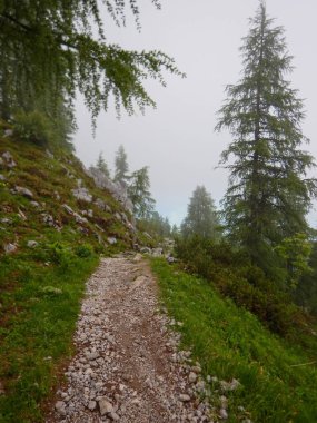 Sisli havalarda alp doğal landscale