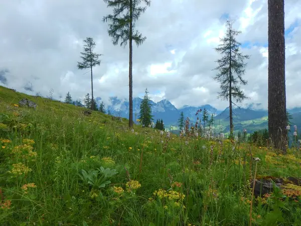 Красивые походы в альпийской природе — стоковое фото