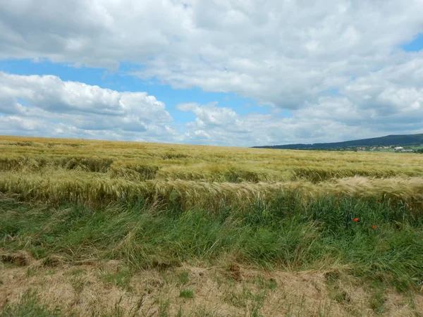 Krajobrazu rolniczego z pola i dramatyczne niebo — Zdjęcie stockowe