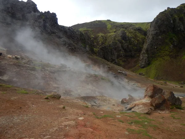 Hveragerdi valey de arroyos calientes y cascadas en iceland — Foto de Stock