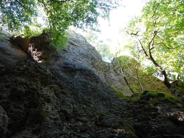 Mirar hacia el acantilado de roca en el bosque — Foto de Stock