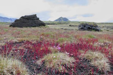 İzlanda'daki laugavegur iz hiking içinde doğa