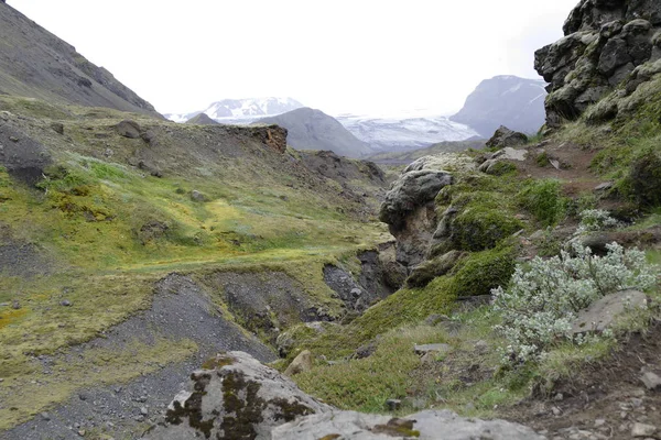 Nature dans la randonnée le sentier de laugavegur en Islande — Photo