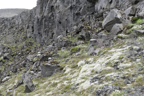 Naturaleza en el senderismo el sendero laugavegur en Islandia — Foto de Stock