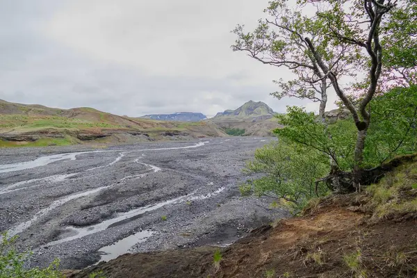 Naturen i vandringsleden laugavegur i Island — Stockfoto
