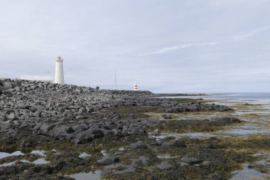 su birsd habitat deniz sahilinde