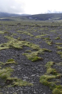 güzel manzara İzlanda'daki fimmvorduhals iz hiking