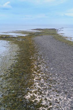 İzlanda'daki Bratislava taşlı kıyıda