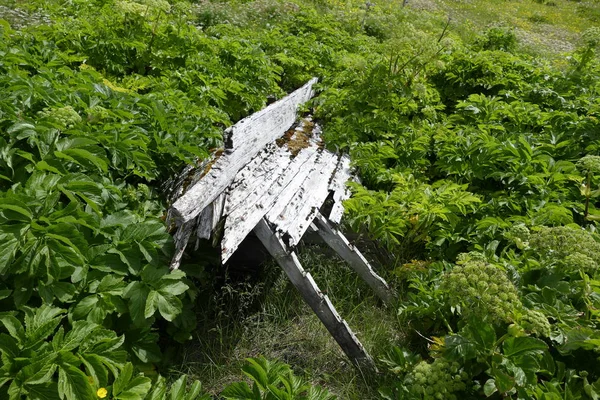 Parte deteriorada de um barco de pesca de madeira — Fotografia de Stock