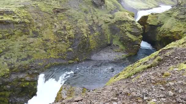 Skoga River southhern İzlanda'daki güzel şelale — Stok video
