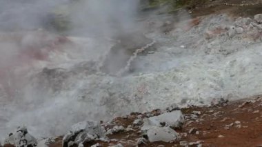 İzlanda'daki jeotermal yerlesim hveragerdi